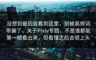 没想到最后会看到这里，别被高频词带偏了，关于Pixiv专题，不是谁都能第一眼看出来，但看懂之后会很上头