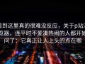 看到这里真的很难没反应，关于p站浏览器，连平时不爱凑热闹的人都开始问了：它真正让人上头的点在哪