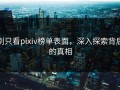 别只看pixiv榜单表面，深入探索背后的真相