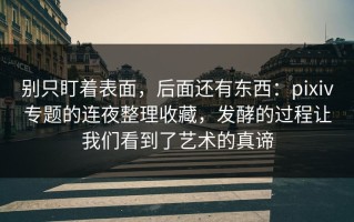 别只盯着表面，后面还有东西：pixiv专题的连夜整理收藏，发酵的过程让我们看到了艺术的真谛