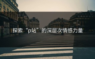 探索“p站”的深层次情感力量