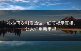 Pixiv再次引发热议，细节揭示真相，让人们重新审视