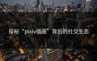 探秘“pixiv插画”背后的社交生态