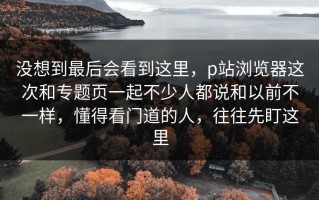 没想到最后会看到这里，p站浏览器这次和专题页一起不少人都说和以前不一样，懂得看门道的人，往往先盯这里