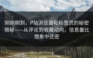 刚刚刷到，P站浏览器和标签页的秘密揭秘——从评论到收藏动向，信息量比想象中还密