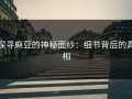 探寻麻豆的神秘面纱：细节背后的真相