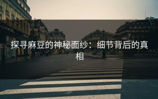 探寻麻豆的神秘面纱：细节背后的真相