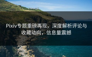 Pixiv专题重磅再现，深度解析评论与收藏动向，信息量震撼