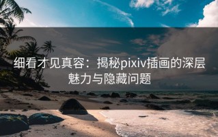 细看才见真容：揭秘pixiv插画的深层魅力与隐藏问题