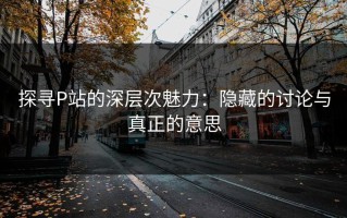 探寻P站的深层次魅力：隐藏的讨论与真正的意思