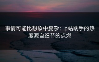 事情可能比想象中复杂：p站助手的热度源自细节的点燃