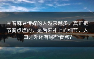 围着麻豆传媒的人越来越多，真正把节奏点燃的，是后来补上的细节，入口之外还有哪些看点？
