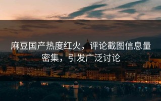 麻豆国产热度红火，评论截图信息量密集，引发广泛讨论