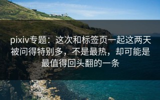pixiv专题：这次和标签页一起这两天被问得特别多，不是最热，却可能是最值得回头翻的一条