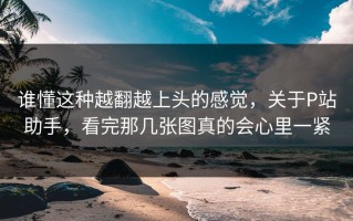 谁懂这种越翻越上头的感觉，关于P站助手，看完那几张图真的会心里一紧